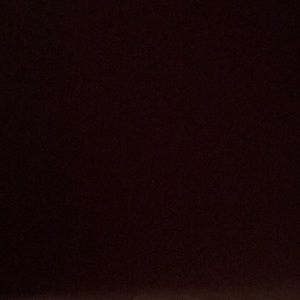 Meet your Posher, Sammy